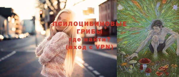 дурь Балахна