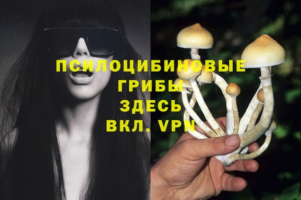 бошки Балабаново