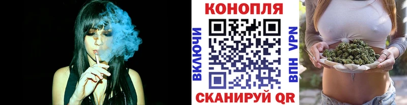 Конопля конопля Староминская